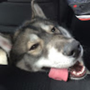 Meet your Posher, Caitlin